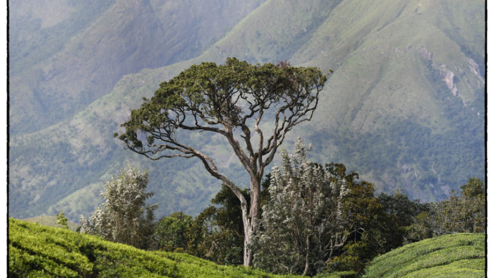 India has great conservationists with creative ideas – Ian Lockwood