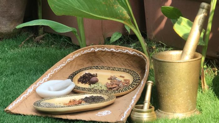 Ayurveda and Systems Theory: Professor Alex Hankey on the Profoundness of Indian Medicine