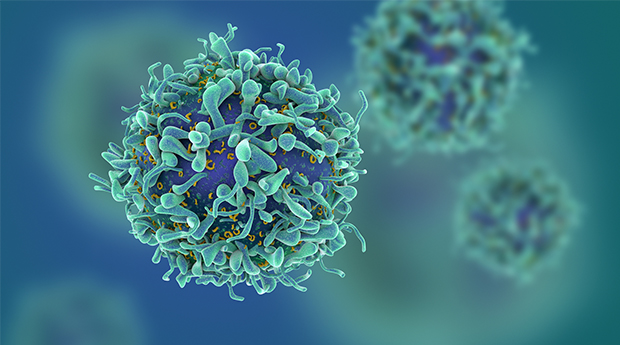 Ayurveda Clinical trials on at Tata Medical Centre for Cancer care