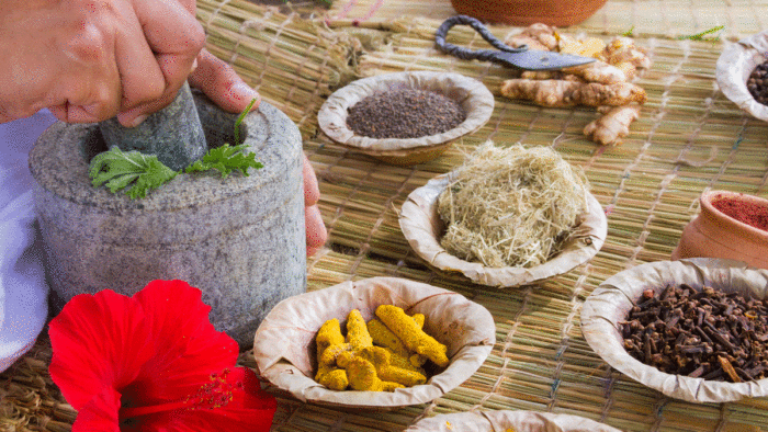 Why, How and Where Ayurveda Differs from Allopathy: Prof Rama Jayasundar