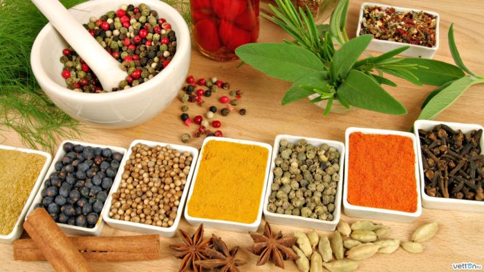Ayurveda Strategically Poised to Create Global Wellness