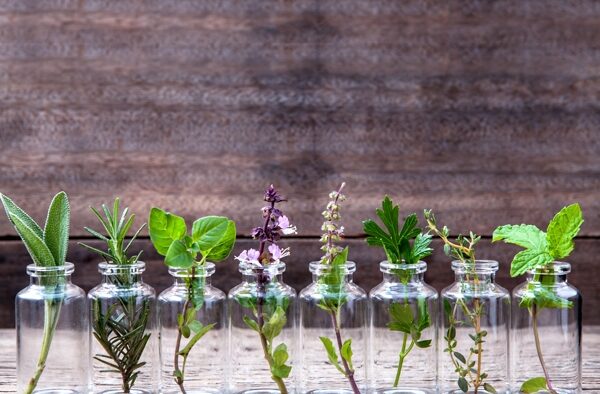 Kama Ayurveda’s Partnership with AVP Offers Remedies for Skin and Hair Care