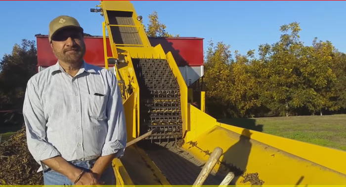 How Sikh Farmers are Now Biggest Cultivators in North America