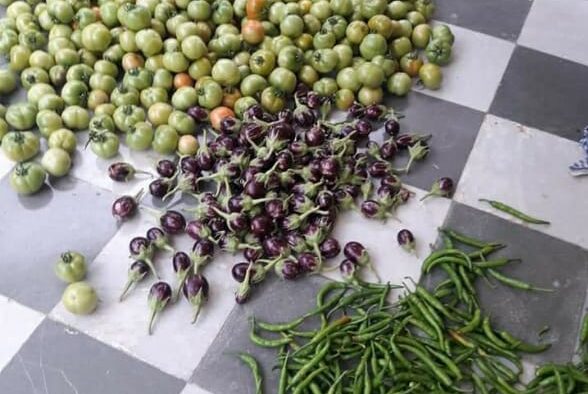 Celebrating the New Year with Conscious Indian Food and Cooking