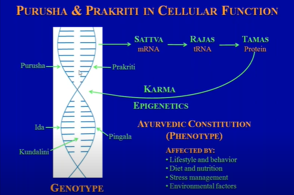 The Connect Between Vedanta, Modern Science and Ayurveda