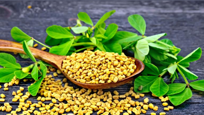 Fenugreek, Ayurveda’s Power Seed