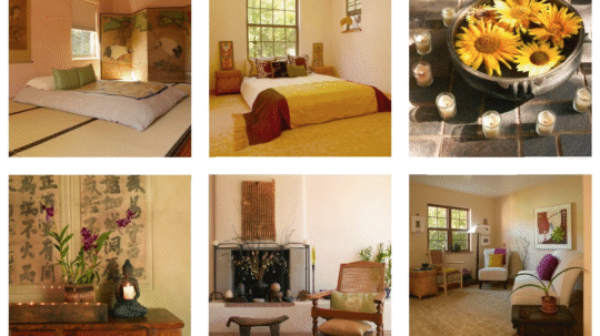 Vastu Brings Vedic Wisdom to Inhabitied Spaces: Dr Sherri Silverman